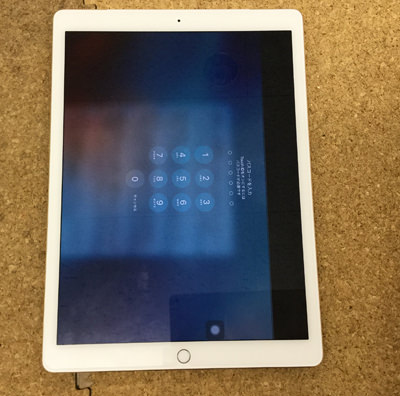 iPad Pro 12.9 液晶故障